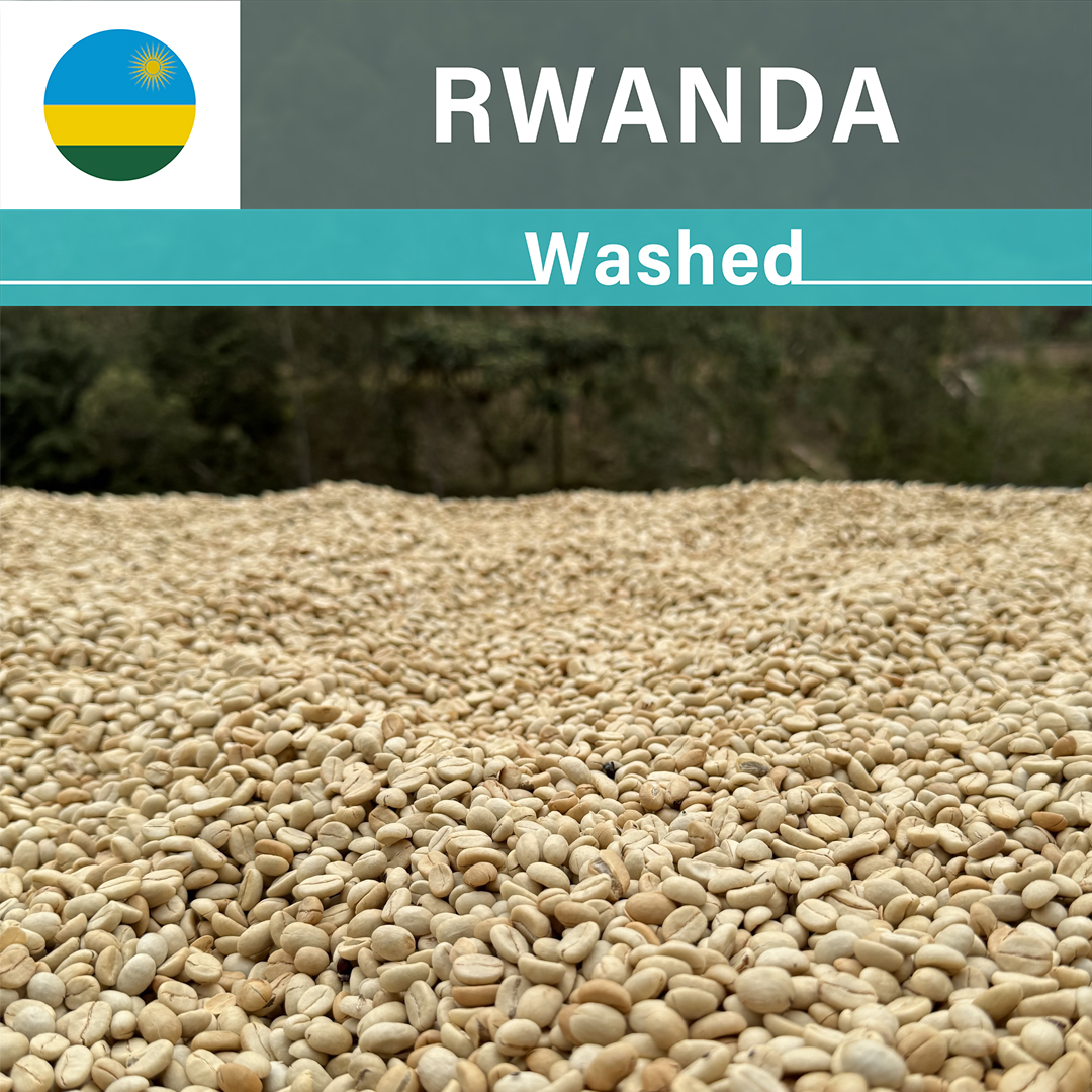 Rwanda Bumbogo A1 TOP Washed(24/25年クロップ)
