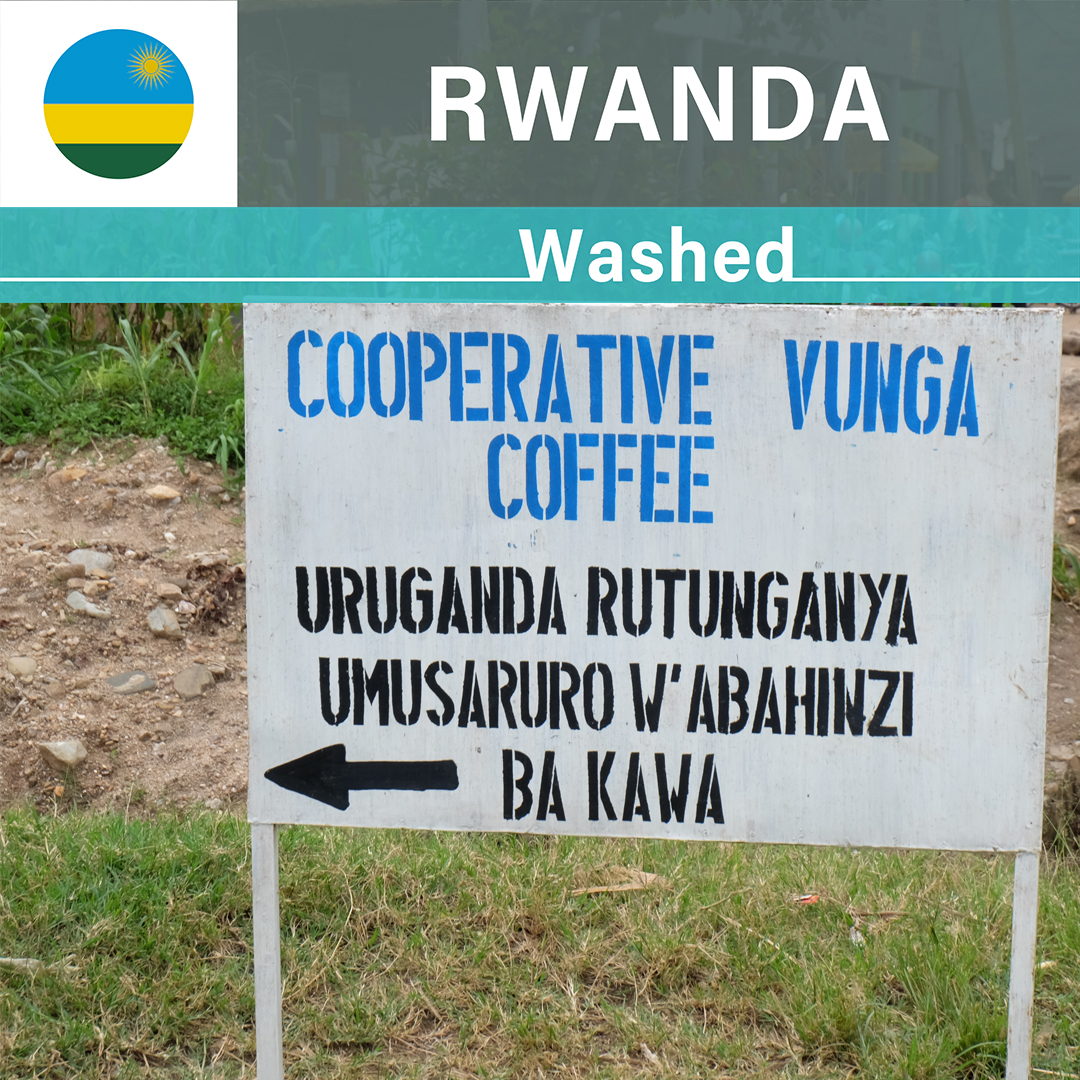 Rwanda Vunga A1 TOP Washed(24/25年クロップ)