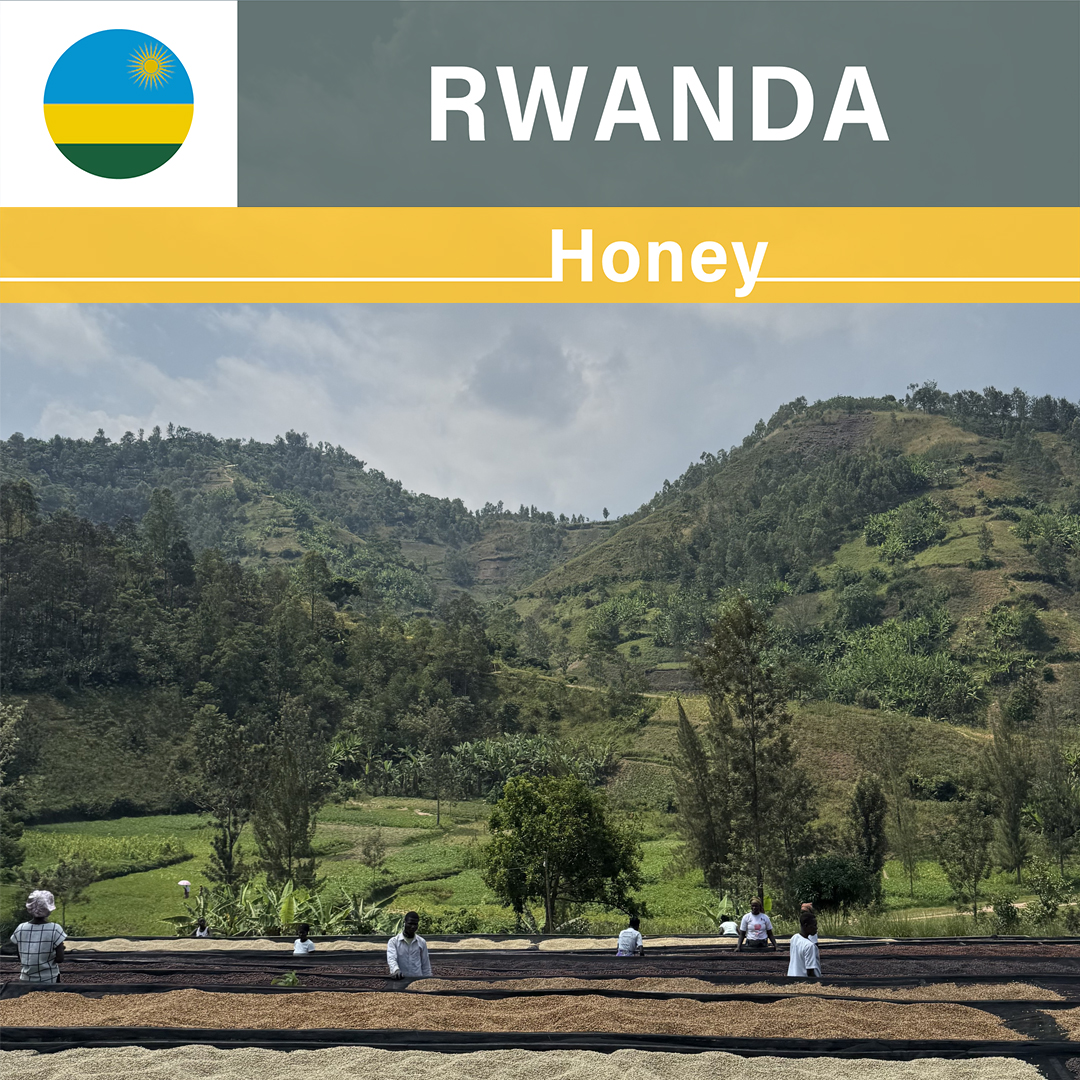 Rwanda Kilimbi Honey(24/25年クロップ)