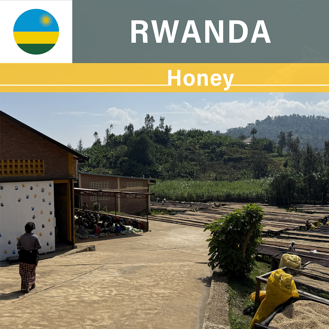 Rwanda Rugali Honey(24/25年クロップ)