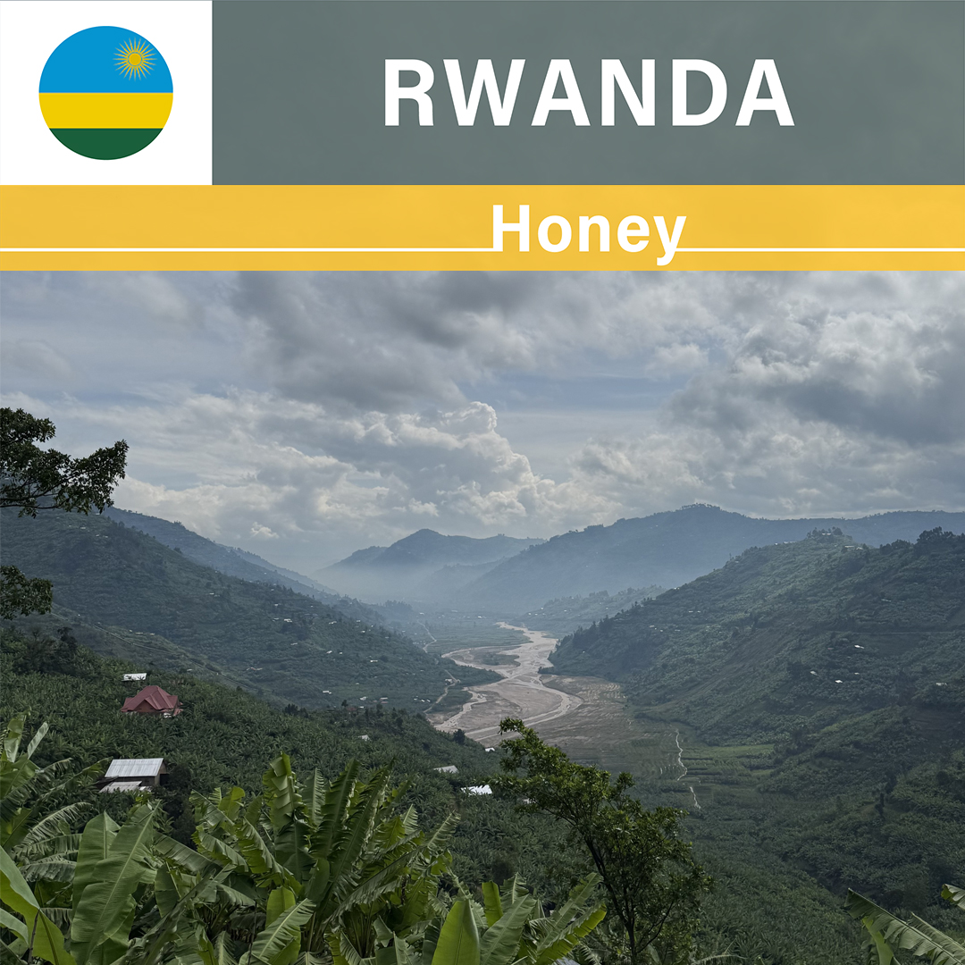 Rwanda Shyira Honey(24/25年クロップ)
