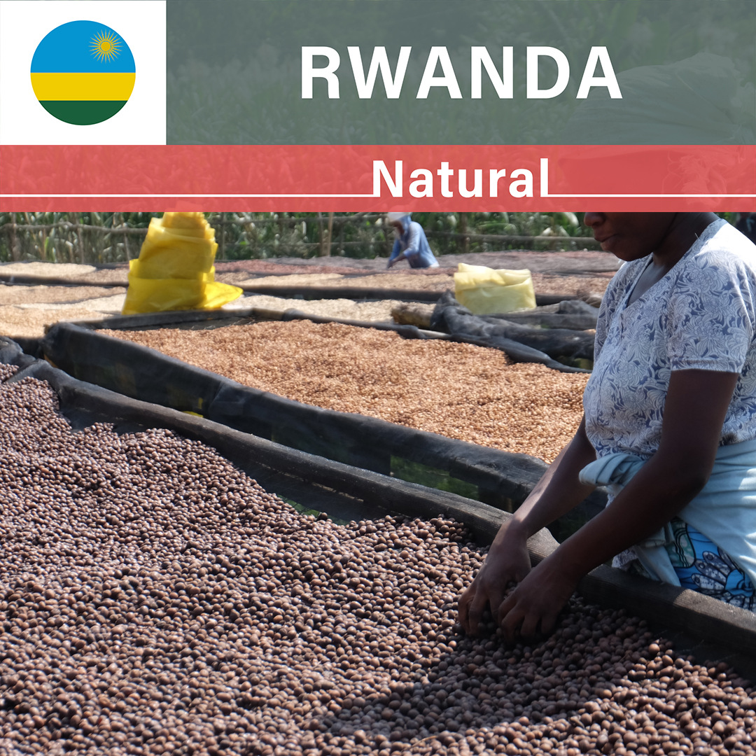 Rwanda Rugali Natural(24/25年クロップ)