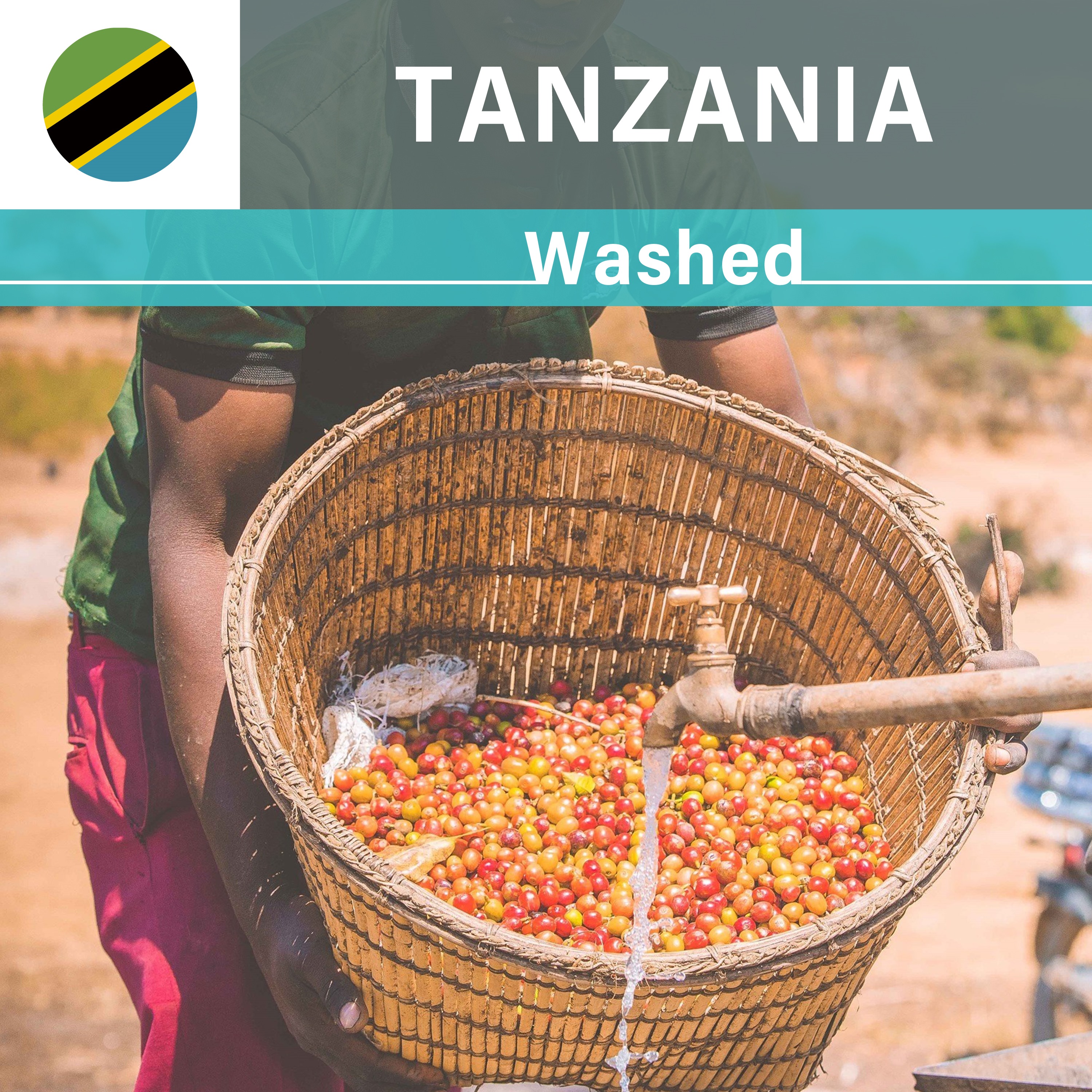 Tanzania  Hezya  Washed(22/23年クロップ)
