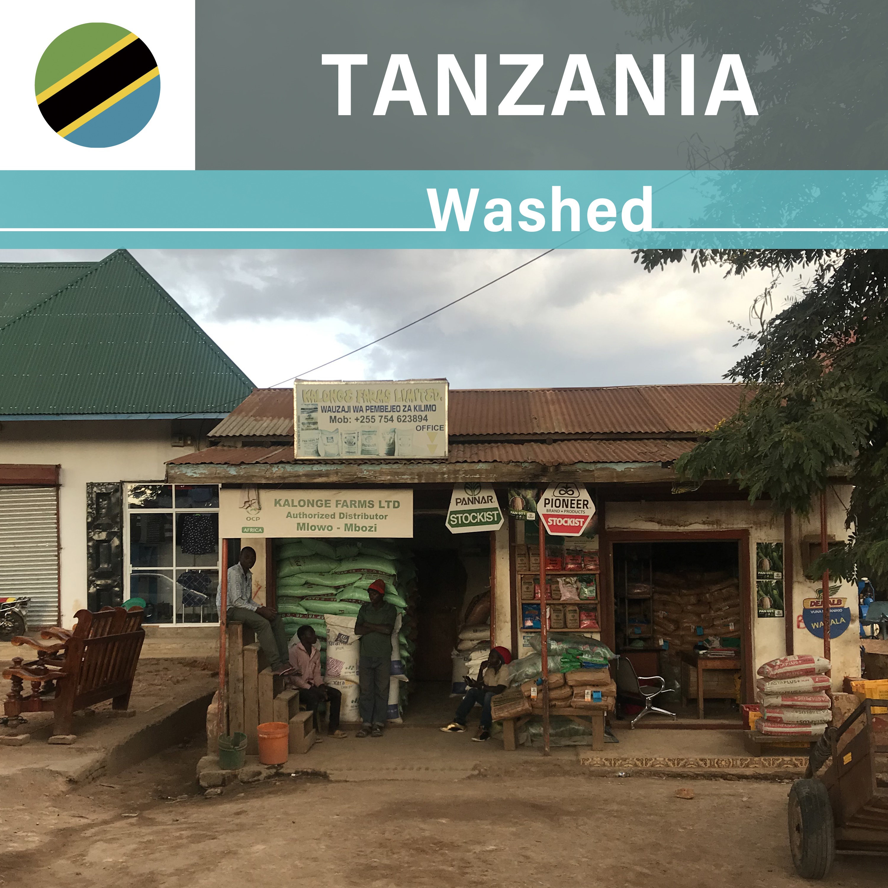 Tanzania  Kalonge  Washed (22/23年クロップ)