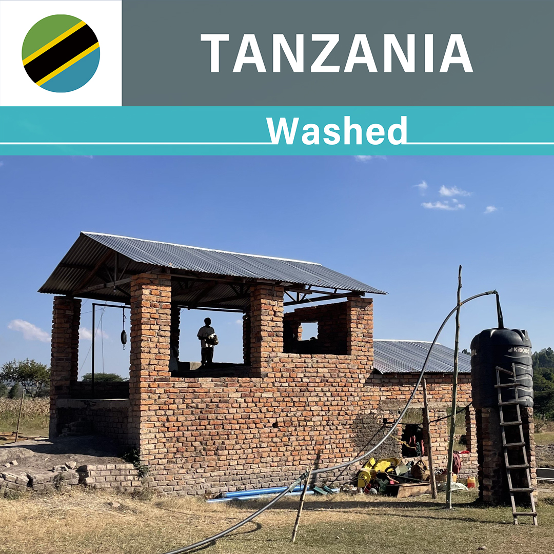 Tanzania Igale Washed(23/24年クロップ)