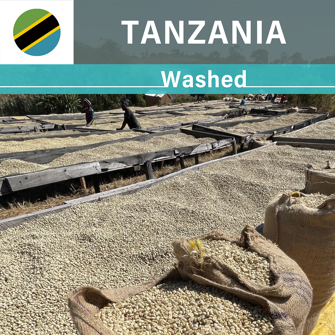 Tanzania Kanji Lalji Washed(23/24年クロップ)