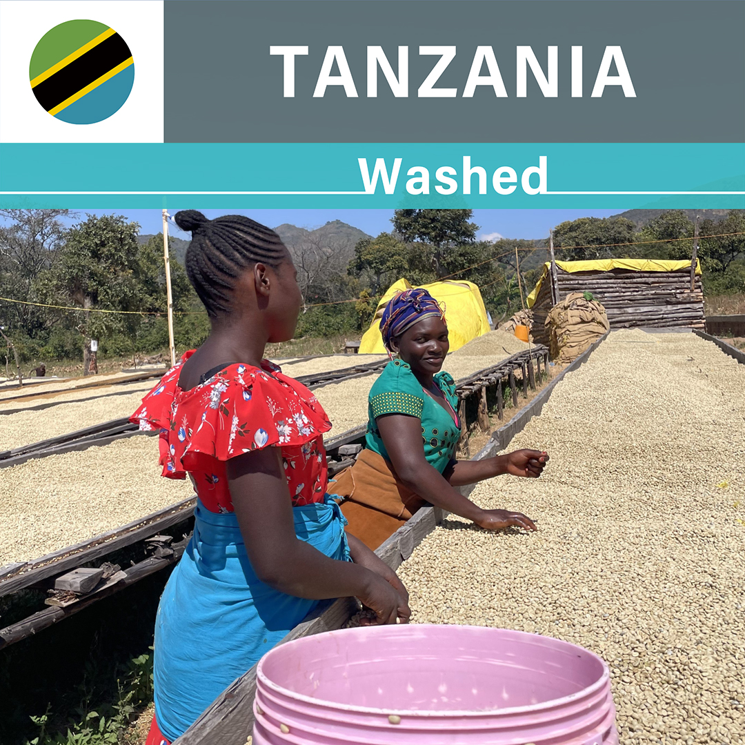 Tanzania Nsonga AB Washed(23/24年クロップ)