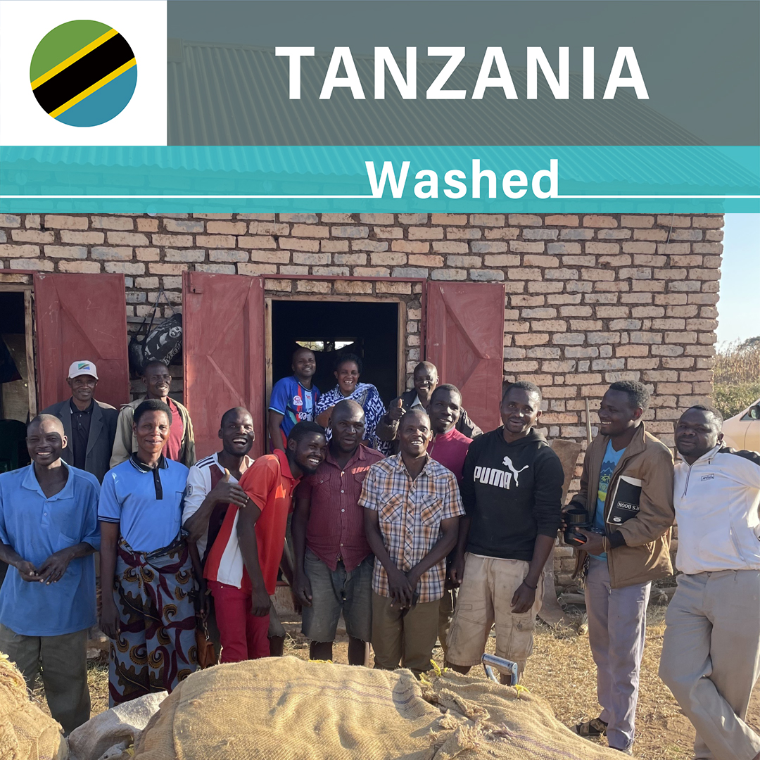 Tanzania Isaiso Washed(23/24年クロップ)
