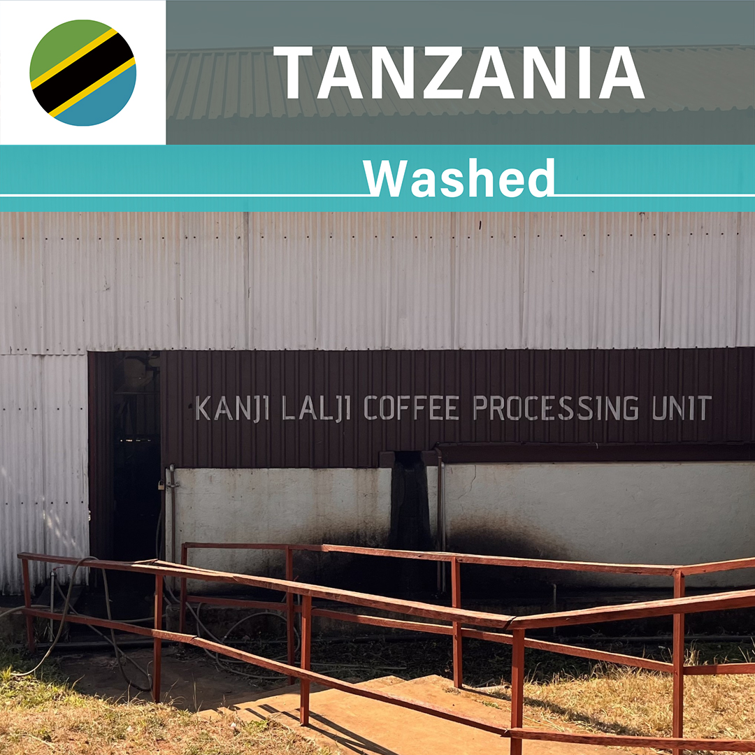 Tanzania Kanji Lalji Washed(25/26年クロップ)