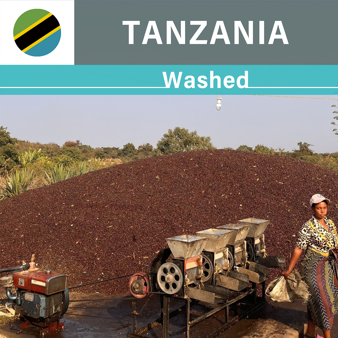 Tanzania Itumpi PB Washed(25/26年クロップ)