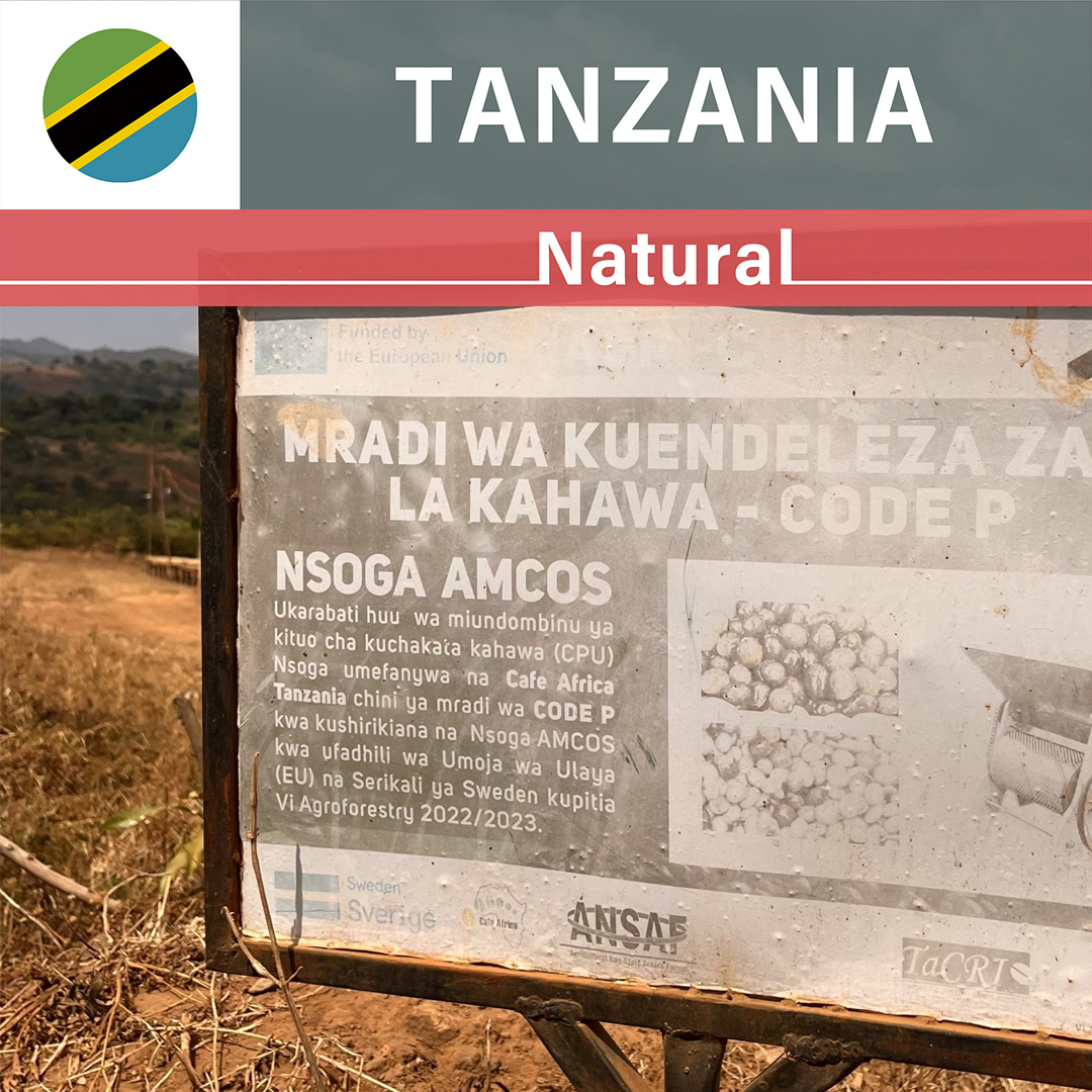 Tanzania Nsoga Natural(25/26年クロップ)
