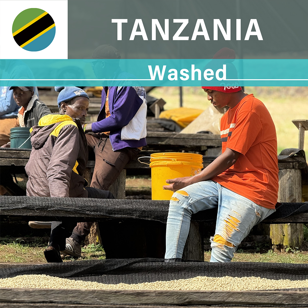 Tanzania Acacia Hills Sarchimor AB Washed(25/26年クロップ)